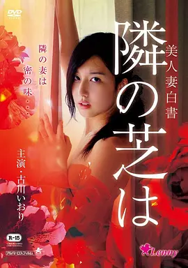 花样年华 详情海报